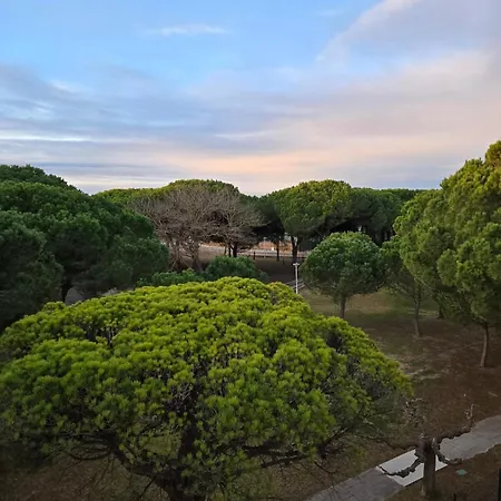 Paisible A 300m De La Διαμέρισμα